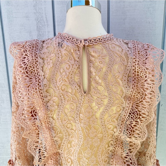 Melograno Rico Lace Blush Blouse See-through Top Long Sleeve - Picture 5 of 10